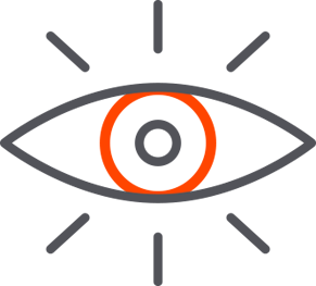 OUR VISION-icon